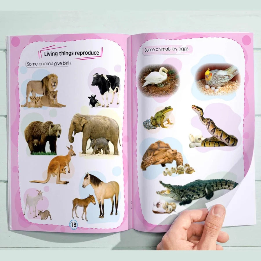 المستوى التانى-KG2