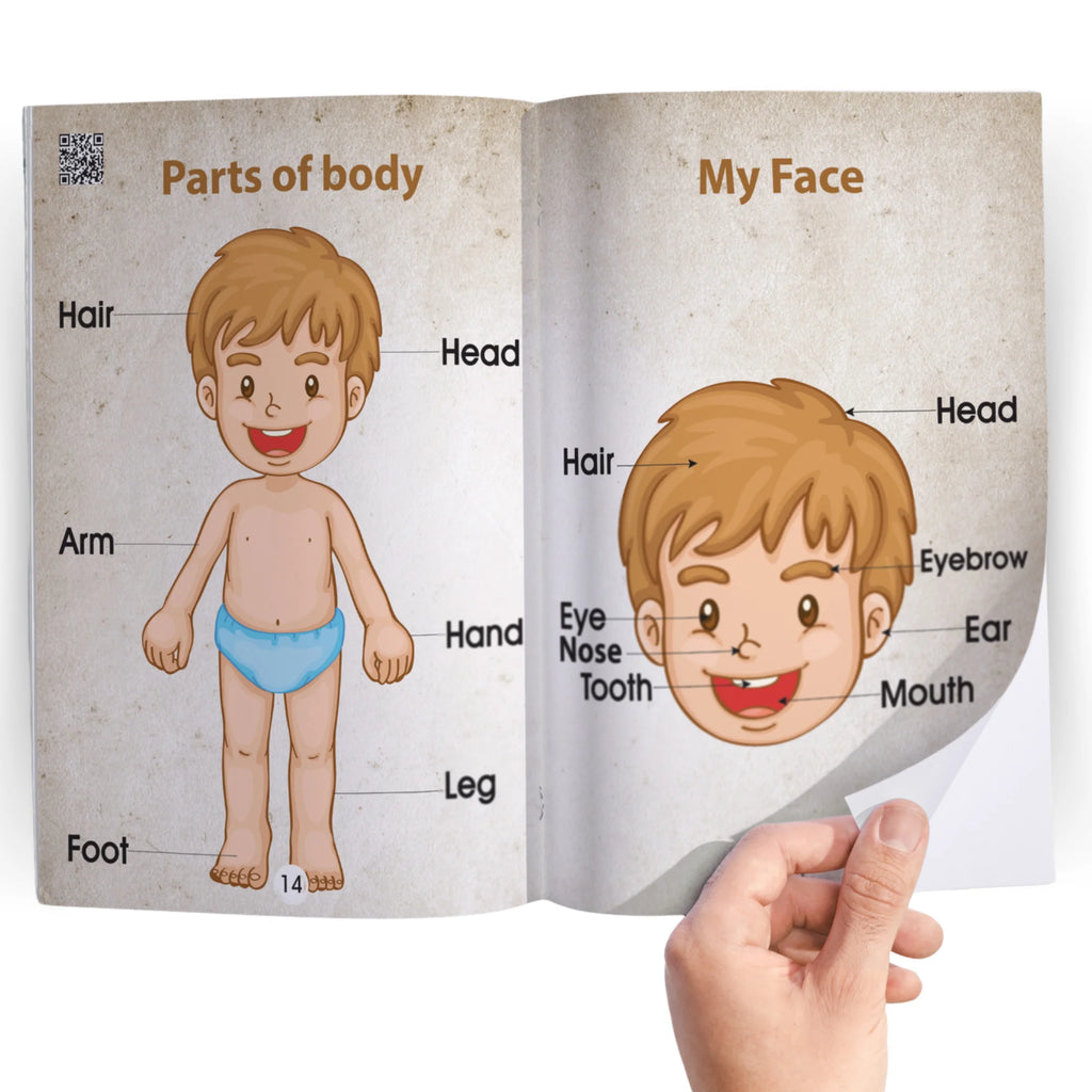 المستوى التمهيدى 4 كتب