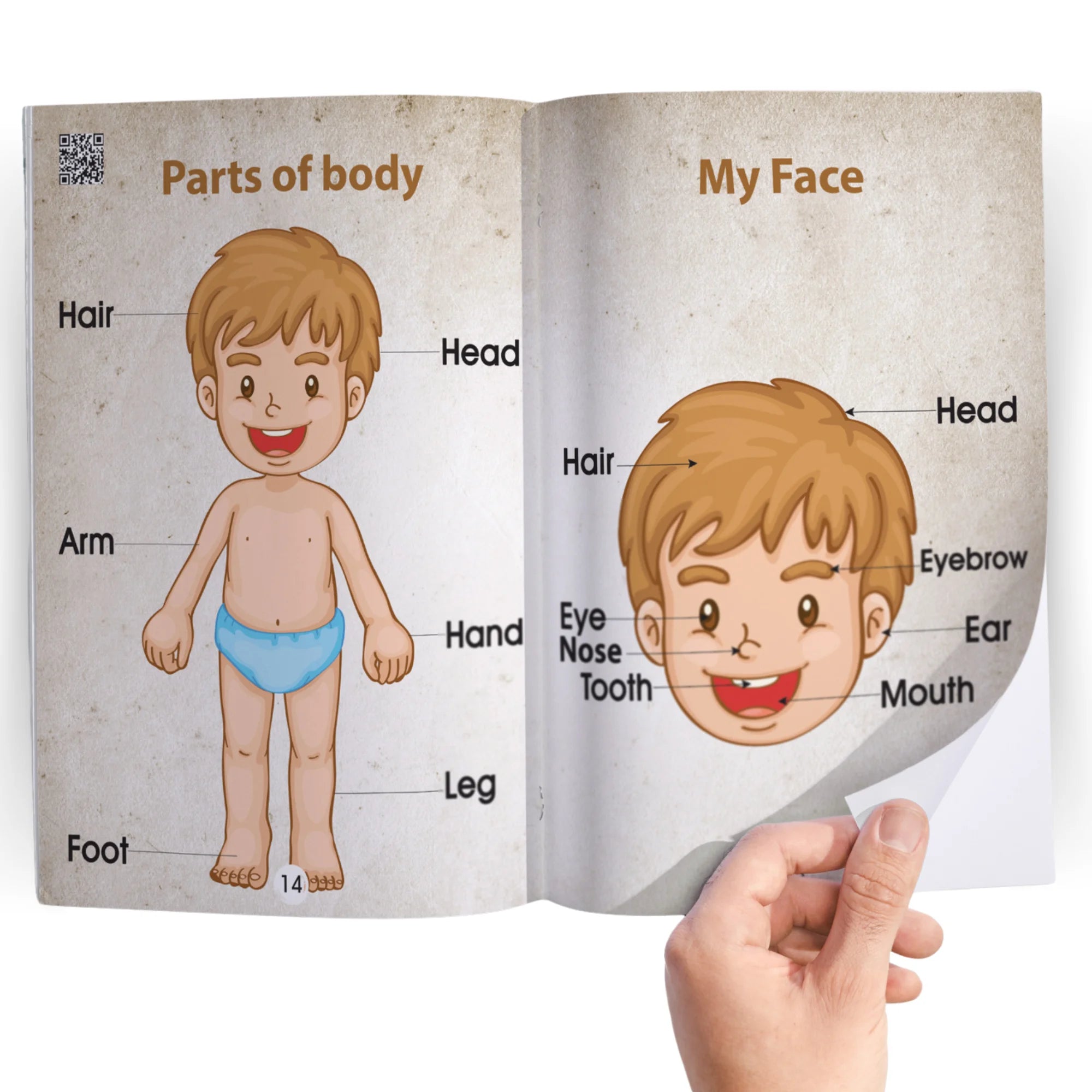 المستوى التمهيدى 4 كتب
